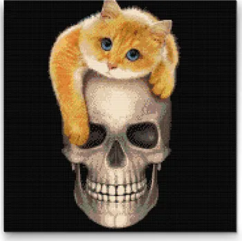 Diamantové malování Diamantové malování - Kotě na lebce Velikost: 50x50cm, Rámování: Pouze srolované plátno, Diamanty: Kulaté