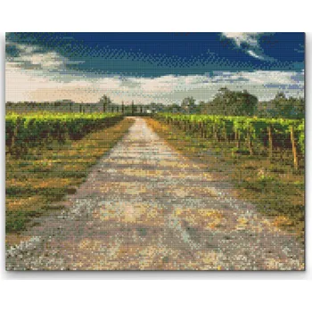 Diamantové malování Diamantové malování - Toskánské vinice Velikost: 30x40cm, Rámování: Pouze srolované plátno, Diamanty: Čtvercové