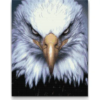 Diamantové malování Diamantové malování - Hlava orla Velikost: 30x40cm, Rámování: Pouze srolované plátno, Diamanty: Kulaté