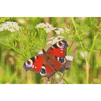 Diamantové malování Diamantové malování - Motýl v trávě Velikost: 40x60cm, Rámování: Pouze srolované plátno, Diamanty: Čtvercové