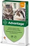 Bayer Advantage Spot-on pro kočky 40 mg