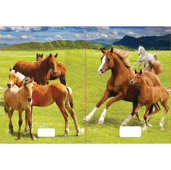 Sešit sešit 540 s 3D motivem, A5, 40 listů,bez linek, motiv koně