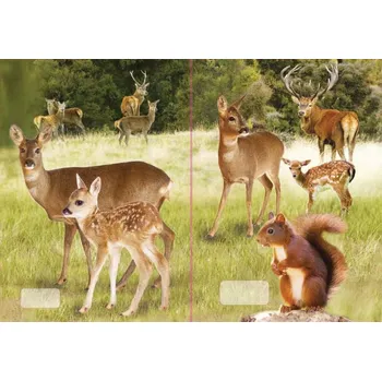 Sešit sešit 540 s 3D motivem, A5, 40 listů,bez linek, motiv lesní zvěř