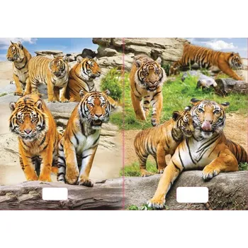 Sešit sešit 544 s 3D motivem, A5, 40 listů,linkovaný, motiv tygři