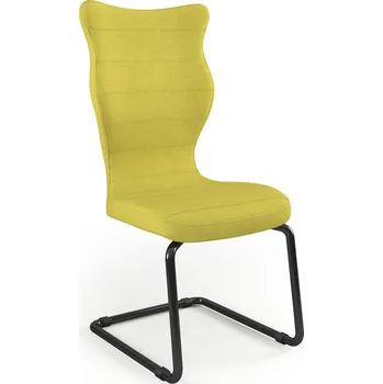 Entelo Židle konferenční NERO , černá Deco 19 velikost 7