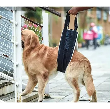 Postroj pro psa Zvedací postroj pro psa podpora psa, Barvy a parametry L