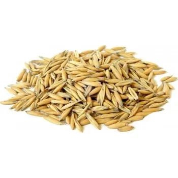 Pro ptáka Oves setý Balení: 10kg