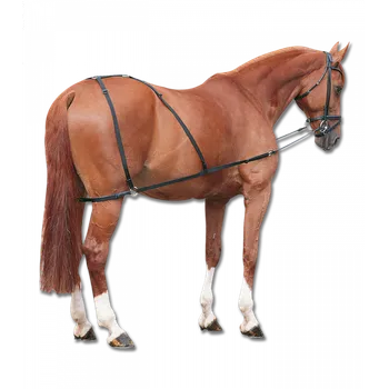 Čištění pro koně Waldhausen Kombinovaný postroj