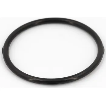 vodní filtr Pentair Autotrol velký o-kroužek mezi hlavici a tankem