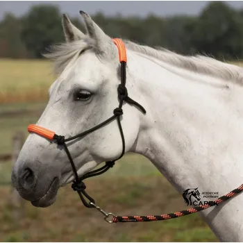 Ohlávka provazová a vodítko Busse -TWO TONE- - Fialová - Cob