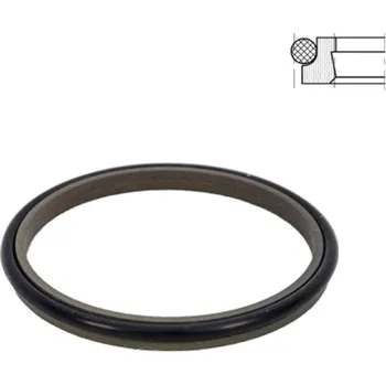 DICHTOMATIK Stírací kroužek AD60 18x24,8/5 PTFE/NBR DIN