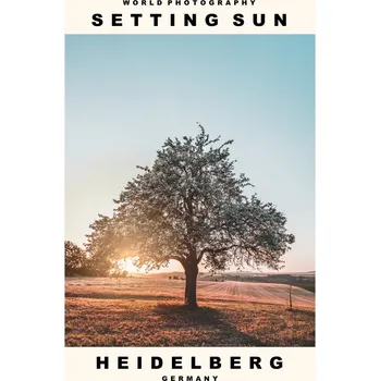 Plakát Plakát, Obraz - Setting Sun (Heidelberg, Germany)