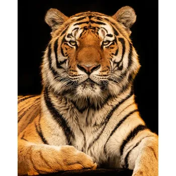 Plakát Plakát, Obraz - I c U, Jorg Zimmermann