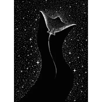 Plakát Plakát, Obraz - Star Collector, Aliriza Cakir