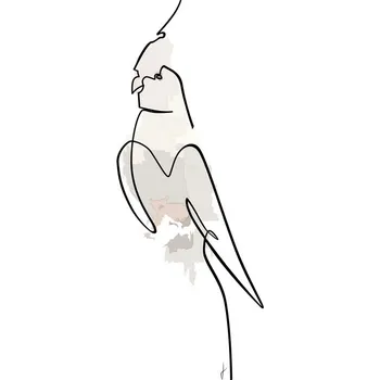 Plakát Plakát, Obraz - Papagalo colore, Hugo Jurčík