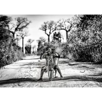 Plakát Plakát, Obraz - Having fun among baobabs, Marco Tagliarino