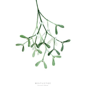 Plakát Plakát, Obraz - Watercolor mistletoe illustration, Blursbyai