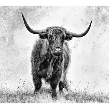 Plakát Plakát, Obraz - La force, Stephane Pecqueux