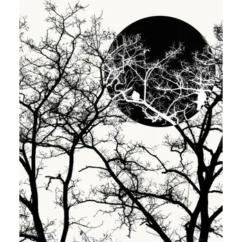 Plakát Plakát, Obraz - Forest, MadKat