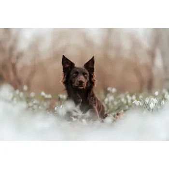 Plakát Plakát, Obraz - Nilay, Ve Shandor