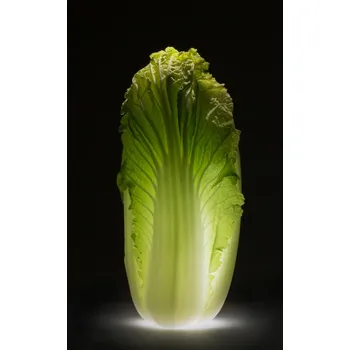 Plakát Plakát, Obraz - Chinese cabbage, Wieteke de Kogel