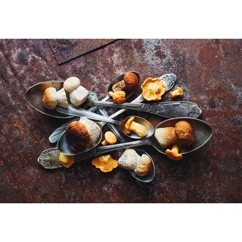 Plakát Plakát, Obraz - SpoonsaWild mushrooms, Aleksandrova Karina