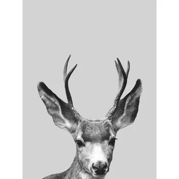 Plakát Plakát, Obraz - Grey deer, Finlay & Noa