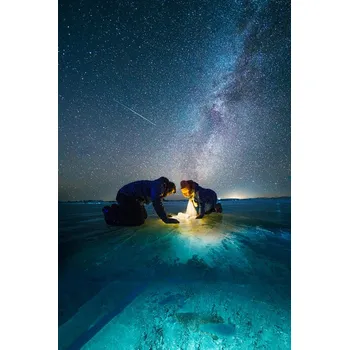 Plakát Plakát, Obraz - The fish, Bingo	Z