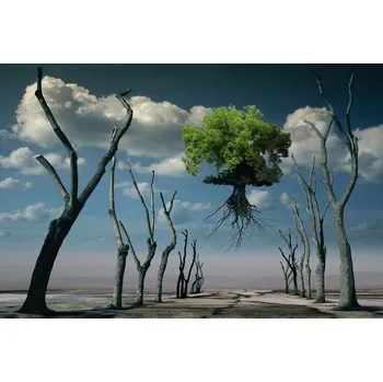 Plakát Plakát, Obraz - I want to fly, Radoslav Penchev