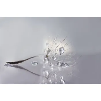 Plakát Plakát, Obraz - Silver, Rina Barbieri