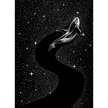 Plakát Plakát, Obraz - Starry Orca, Aliriza Cakir