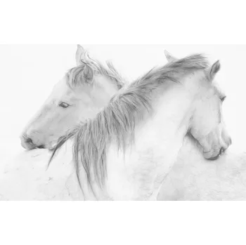 Plakát Plakát, Obraz - Horses, marie-anne	stas