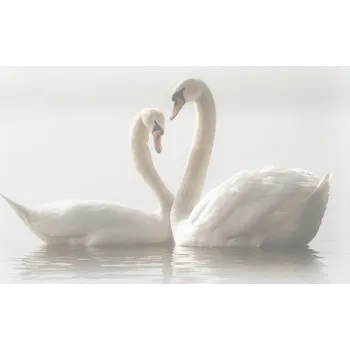 Plakát Plakát, Obraz - Forever, Monika Schwager