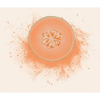 Plakát Plakát, Obraz - Cantaloupe Splash, Aminah Eleonora