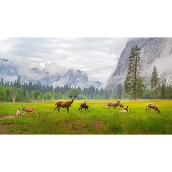 Plakát Plakát, Obraz - A Feeling of Ancient Time, Dianne Mao