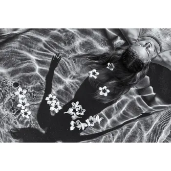 Plakát Plakát, Obraz - Frangipani tree, Gloria Salgado Gispert