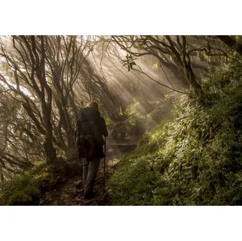 Plakát Plakát, Obraz - Through the Enchanted Forest, Karsten Wrobel