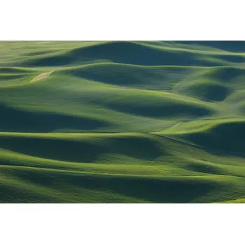 Plakát Plakát, Obraz - The Earth's Fine Skin, 李从军 / Austin Li