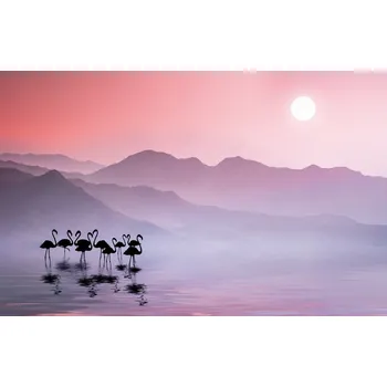 Plakát Plakát, Obraz - Flamingos Sunset, Bess Hamiti
