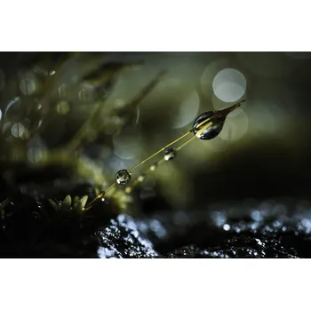 Plakát Plakát, Obraz - The Quantum Theory of Gravity, Fabien BRAVIN