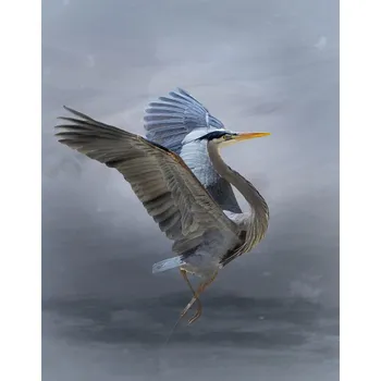 Plakát Plakát, Obraz - The Great Blue Heron, Krystina Wisniowska