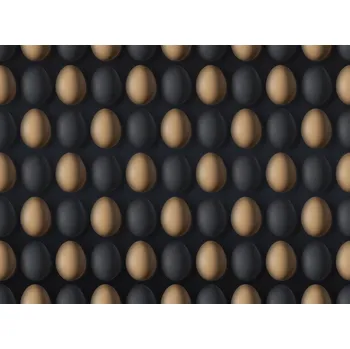 Plakát Plakát, Obraz - EGG, Yujie Zhang