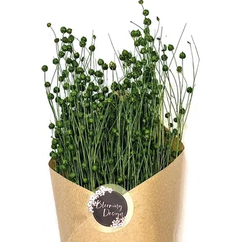 umělá květina Sušený len zelený, kytice/svazek 100g