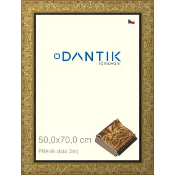 Rám na obraz DANTIK rámeček 50x70 | PRAHA zlatá (Plexi Čiré) (Vyrobeno s láskou u nás v DANTIKU)