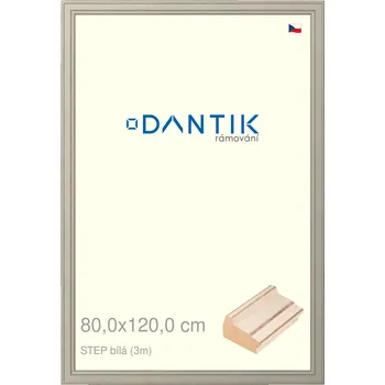 Rám na obraz DANTIK rámeček 80x120 | STEP bílá (Plexi Čiré) (Vyrobeno s láskou u nás v DANTIKU)