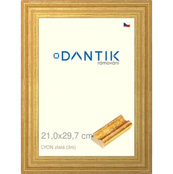 Rám na obraz DANTIK rámeček 21x29,7 | LYON zlatá (Sklo Čiré) (Vyrobeno s láskou u nás v DANTIKU)