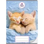 BENIAMIN ŠKOLNÍ SEŠIT A5 SWEET PETS KOČKY 32 listů, čtverečkovaný