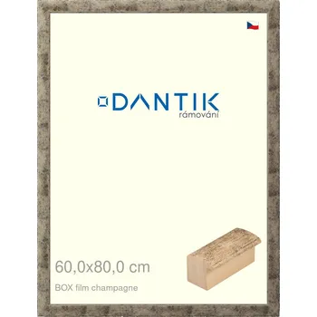 Rám na obraz DANTIK rámeček 60x80 | BOX film champagne (Plexi Čiré) (Vyrobeno s láskou u nás v DANTIKU)