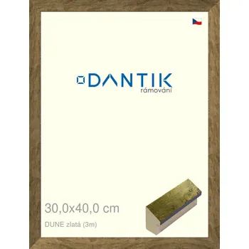 Rám na obraz DANTIK rámeček 30x40 | DUNE zlatá (Plexi Čiré) (Vyrobeno s láskou u nás v DANTIKU)