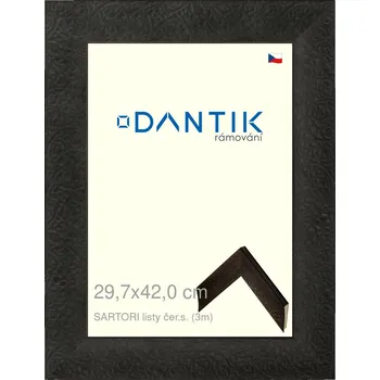 Rám na obraz DANTIK rámeček 29,7x42 | SARTORI listy čer.s. (Plexi Čiré) (Vyrobeno s láskou u nás v DANTIKU)